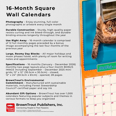 2026 BrownTrout Avanti Chatons Grognons OFFICIEL 12" x 12" Monthly Wall Calendar (9798330707287)