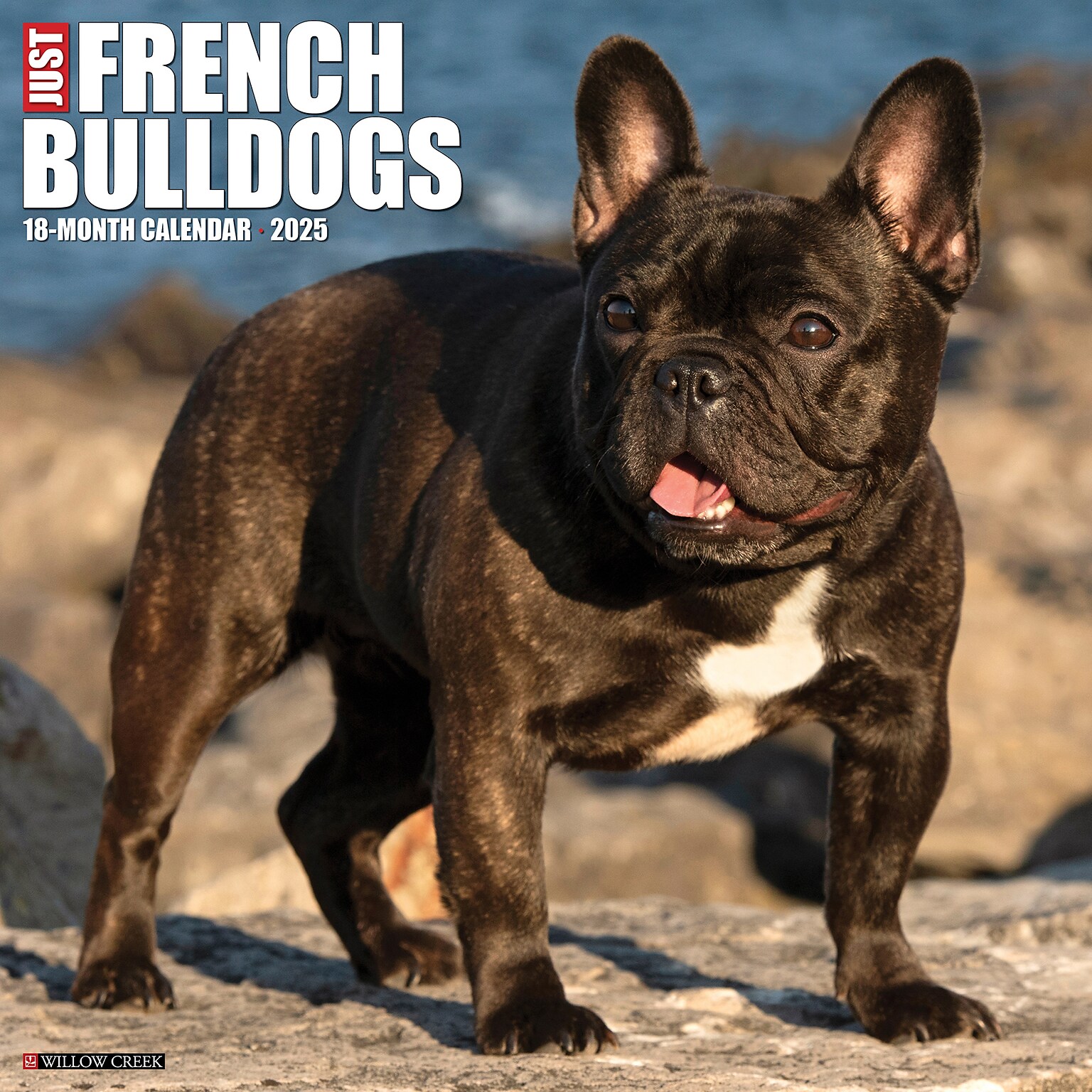 2025 Willow Creek Just French Bulldogs 12 x 12 Monthly Wall Calendar (42953)