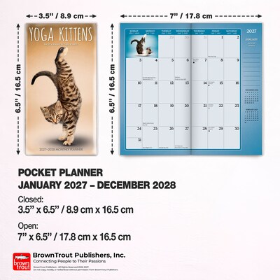 2027-2028 BrownTrout Yoga Kittens 3.5" x 6.5" Monthly Planner (9798330713547)