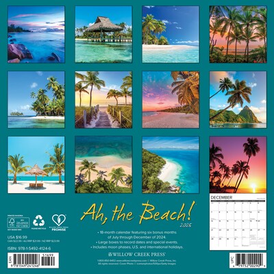 2025 Willow Creek Ah,The Beach! 12 x 12 Monthly Wall Calendar (41246)