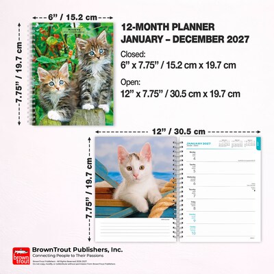 2027 BrownTrout Kittens 6.5" x 7.8" Calendar Year Weekly Standard Planner, Multicolor (9798330709434)