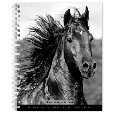 2027 BrownTrout The Noble Horse 6.5 x 7.8 Calendar Year Weekly Standard Planner, Multicolor (9798330709465)