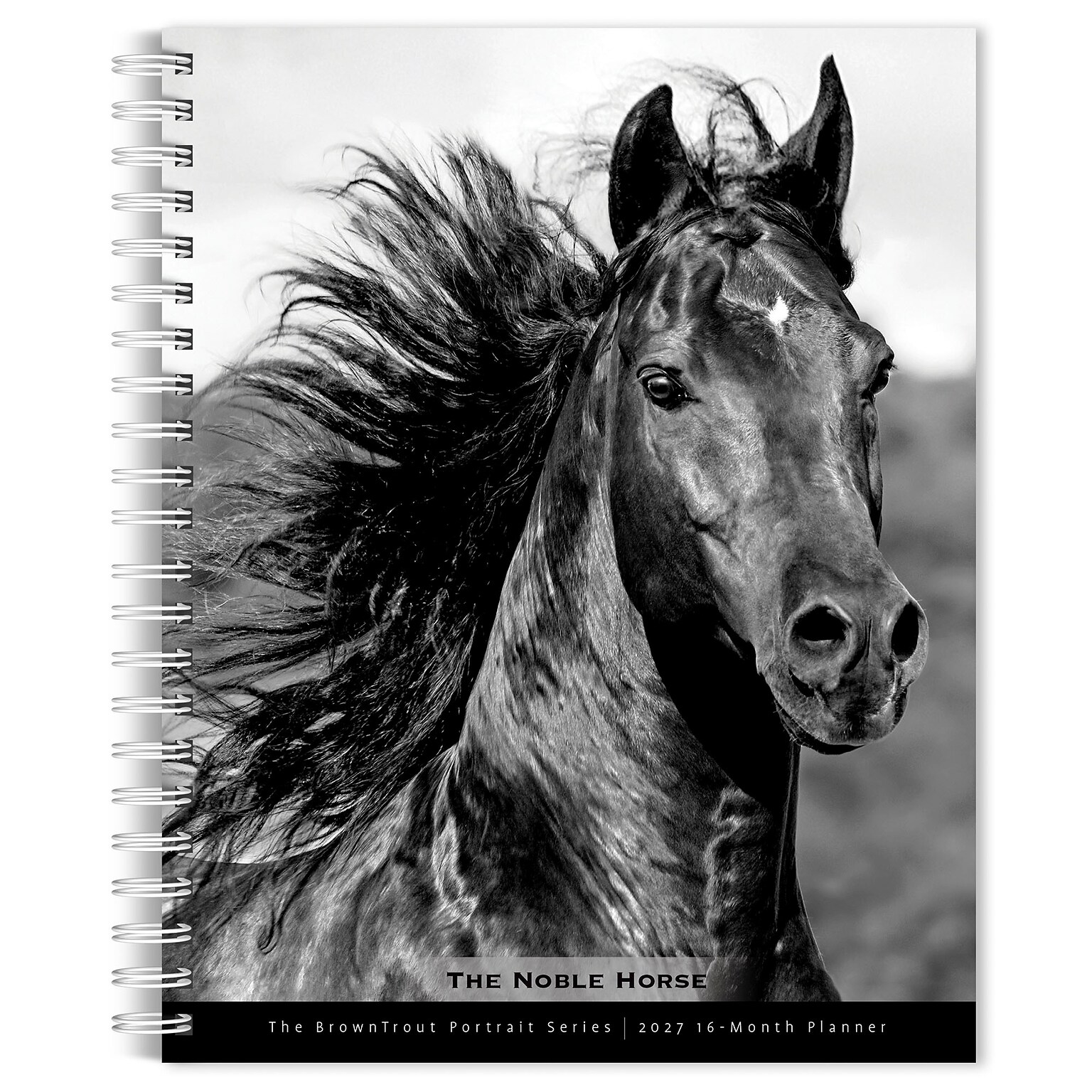 2027 BrownTrout The Noble Horse 6.5 x 7.8 Calendar Year Weekly Standard Planner, Multicolor (9798330709465)