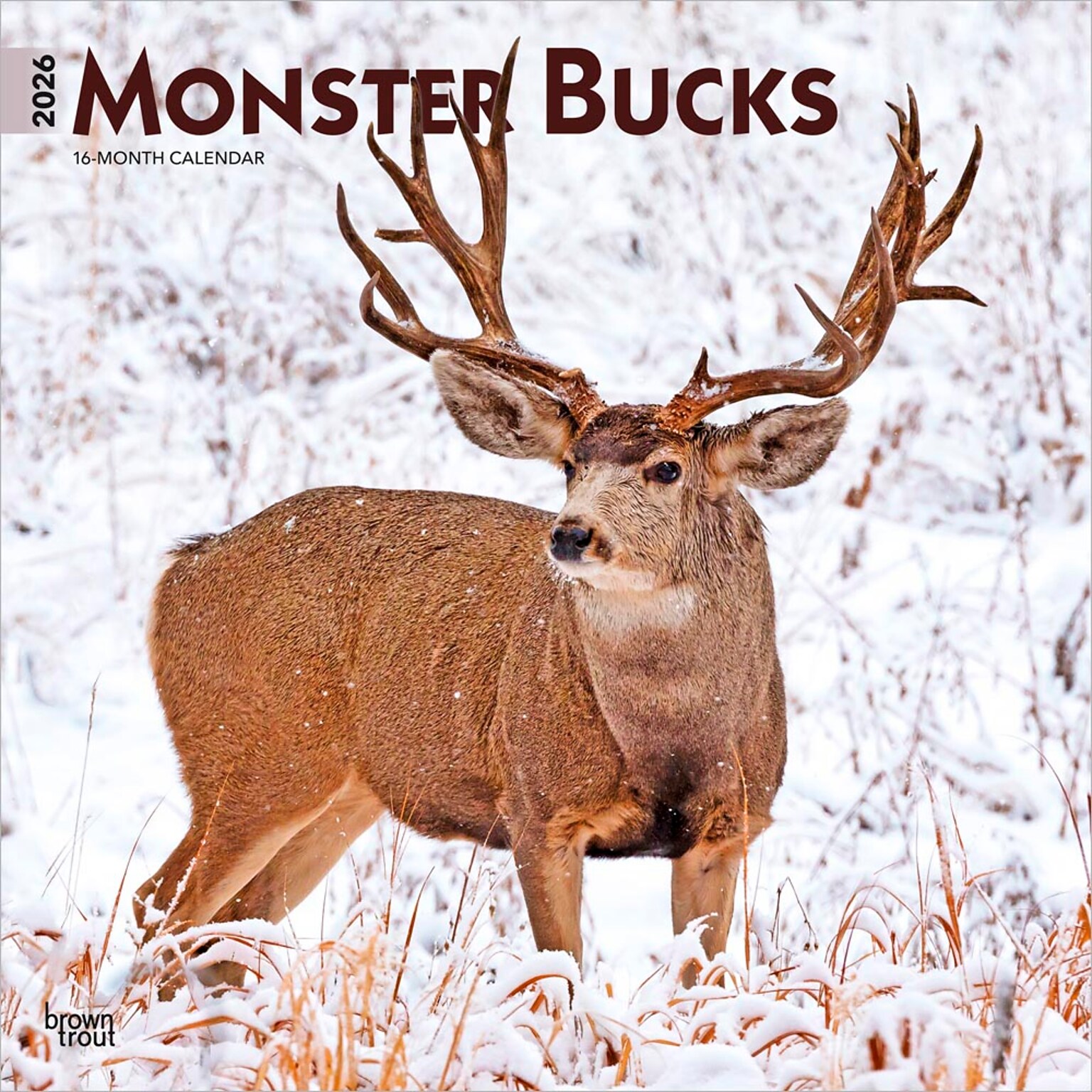 2026 BrownTrout Monster Bucks 12 x 12 Monthly Wall Calendar (9798330704682)