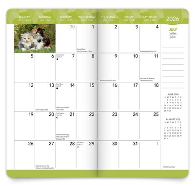 2026-2027 BrownTrout Kitten Cuddles 3.5" x 6.5" Monthly Planner (9798330704088)