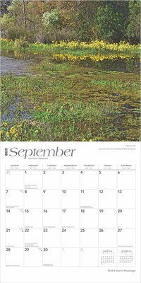2025 BrownTrout Mississippi Wild & Scenic 12" x 24" Monthly Square Wall Calendar (9781975475291)