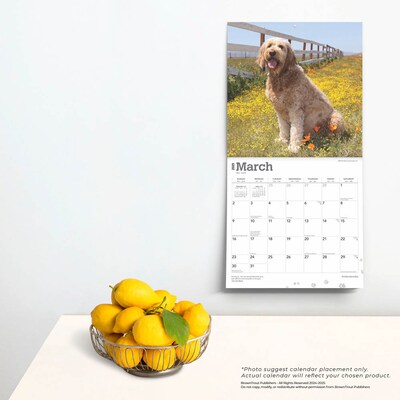 2025 BrownTrout Goldendoodles 12" x 12" Monthly Square Wall Calendar (9781975477080)