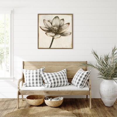 Amanti Art Sepia Lotus Blossom II by Patricia Pinto Framed Canvas Wall Art Print, 30" x 30" (A42678299854)