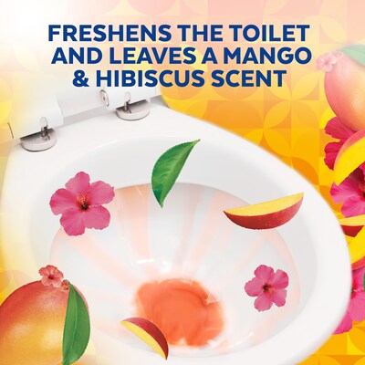 Lysol Brand New Day Disinfecting Toilet Bowl Cleaner, Mango & Hibiscus Scent, 24 oz. (19200-98390)