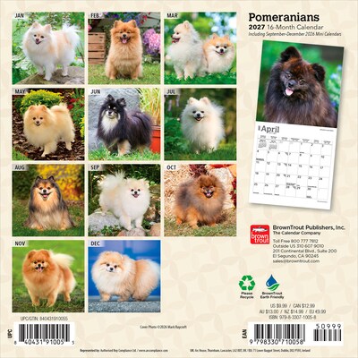 2027 BrownTrout Pomeranians 7 x 7 Monthly Wall Calendar (9798330710058)