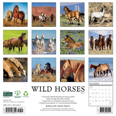 2027 Willow Creek Wild Horses 12 x 12 Monthly Wall Calendar, Assorted Colors (63019)