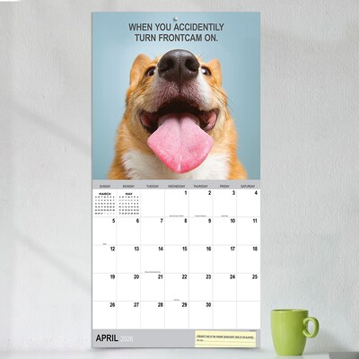 2026 TF Publishing Desk Dogs 12" x 12" Monthly Wall Calendar (26-1052)