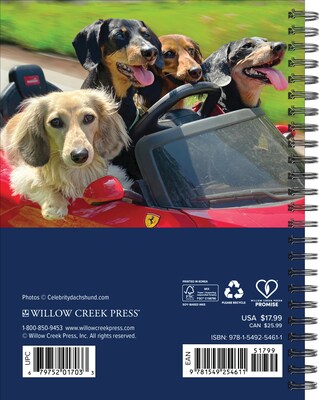 2026 Willow Creek Crusoe the Celebrity Dachshund 6.5 x 8.5 Daily & Monthly Personal Organizer (54611)