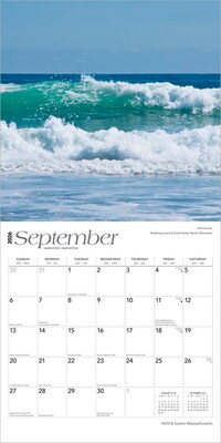 2026 BrownTrout Massachusetts Wild & Scenic 12" x 12" Monthly Wall Calendar (9798330704521)