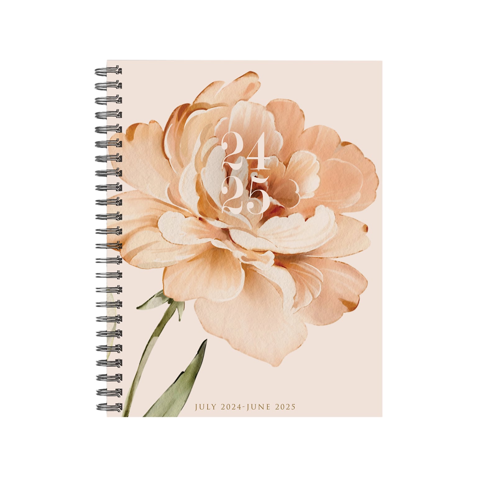 2024-2025 Willow Creek Perfect Peony 8.5 x 11 Academic Weekly & Monthly Planner, Beige/Green (47590)