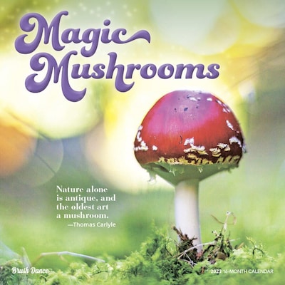 2023 Brush Dance Magic Mushrooms 12 x 12 Monthly Wall Calendar (9781975456993)