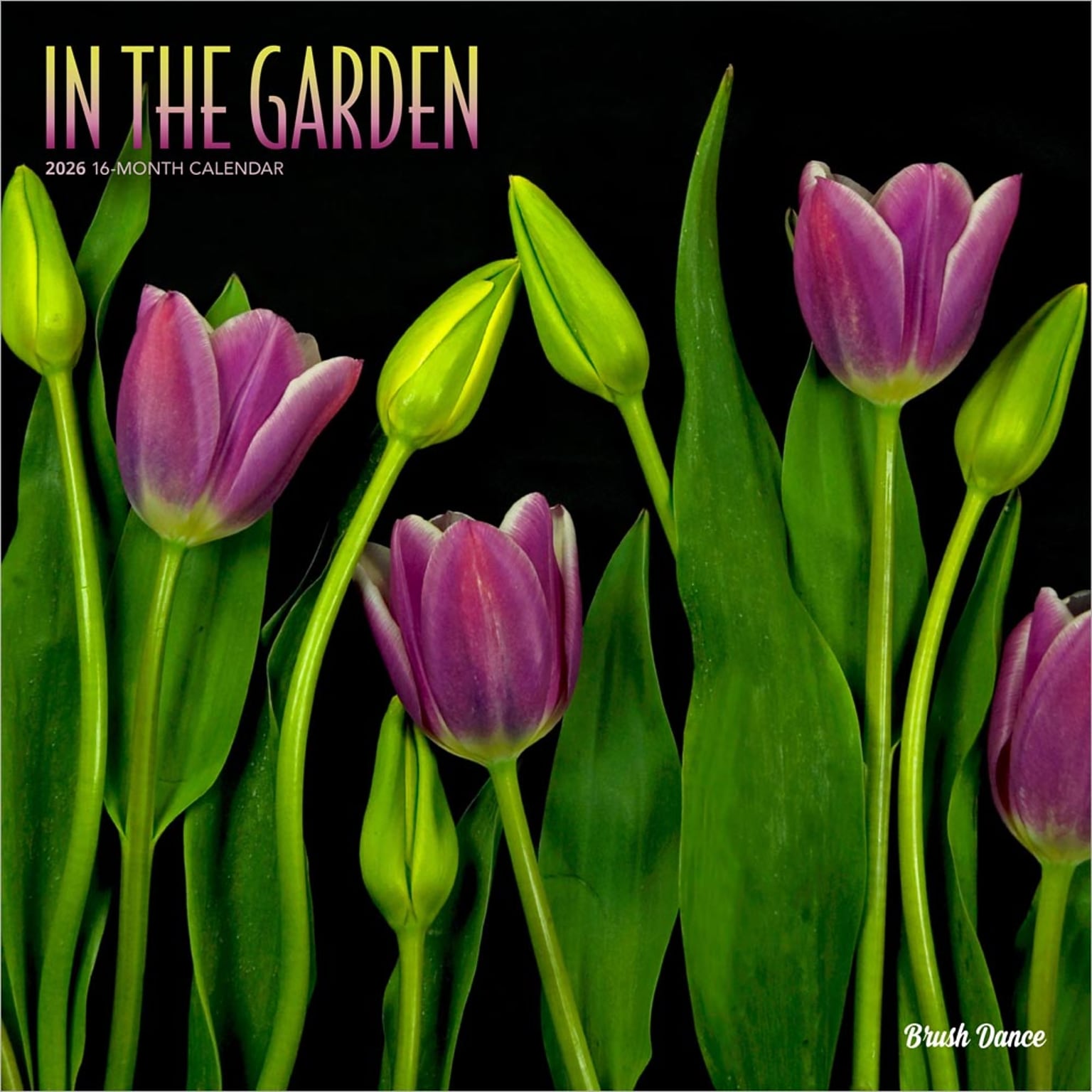 2026 Brush Dance In the Garden 12 x 12 Monthly Wall Calendar (9798330706525)