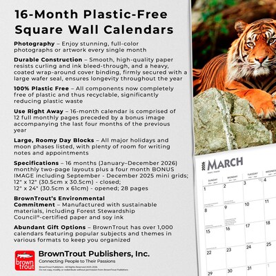 2026 BrownTrout Tigers 12" x 12" Monthly Wall Calendar (9798330705900)