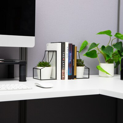 Mind Reader Metal Terrarium Bookends, 6.25", Black (GLBOOK2-BLK)