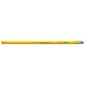 Ticonderoga The World's Best Pencil Wooden Pencil, 2.2mm, #2 Soft Lead, 72/Pack (33904)