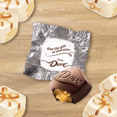 Dove Promises Milk Chocolate & Caramel Christmas Candy, 7.94 oz. (453411)