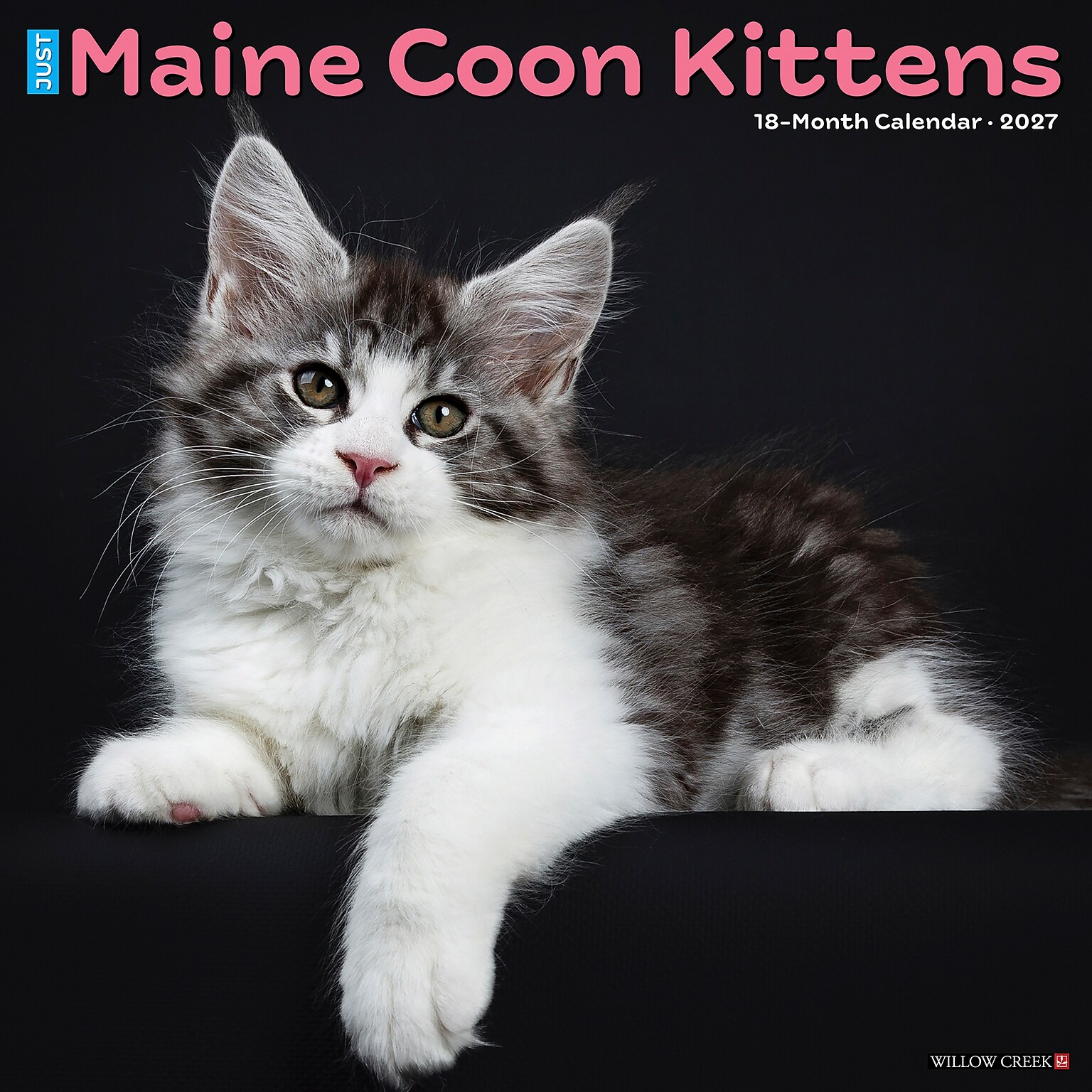 2027 Willow Creek Maine Coon Kittens 12 x 12 Monthly Wall Calendar, Assorted Colors (61138)