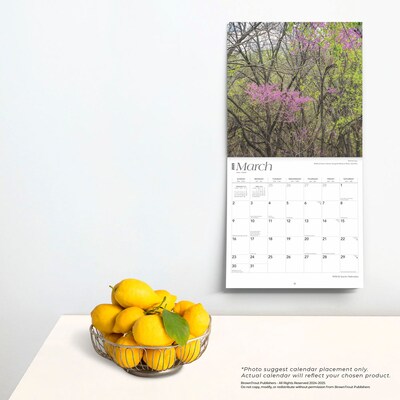2025 BrownTrout Nebraska Wild & Scenic 12" x 12" Monthly Wall Calendar (9781975475352)
