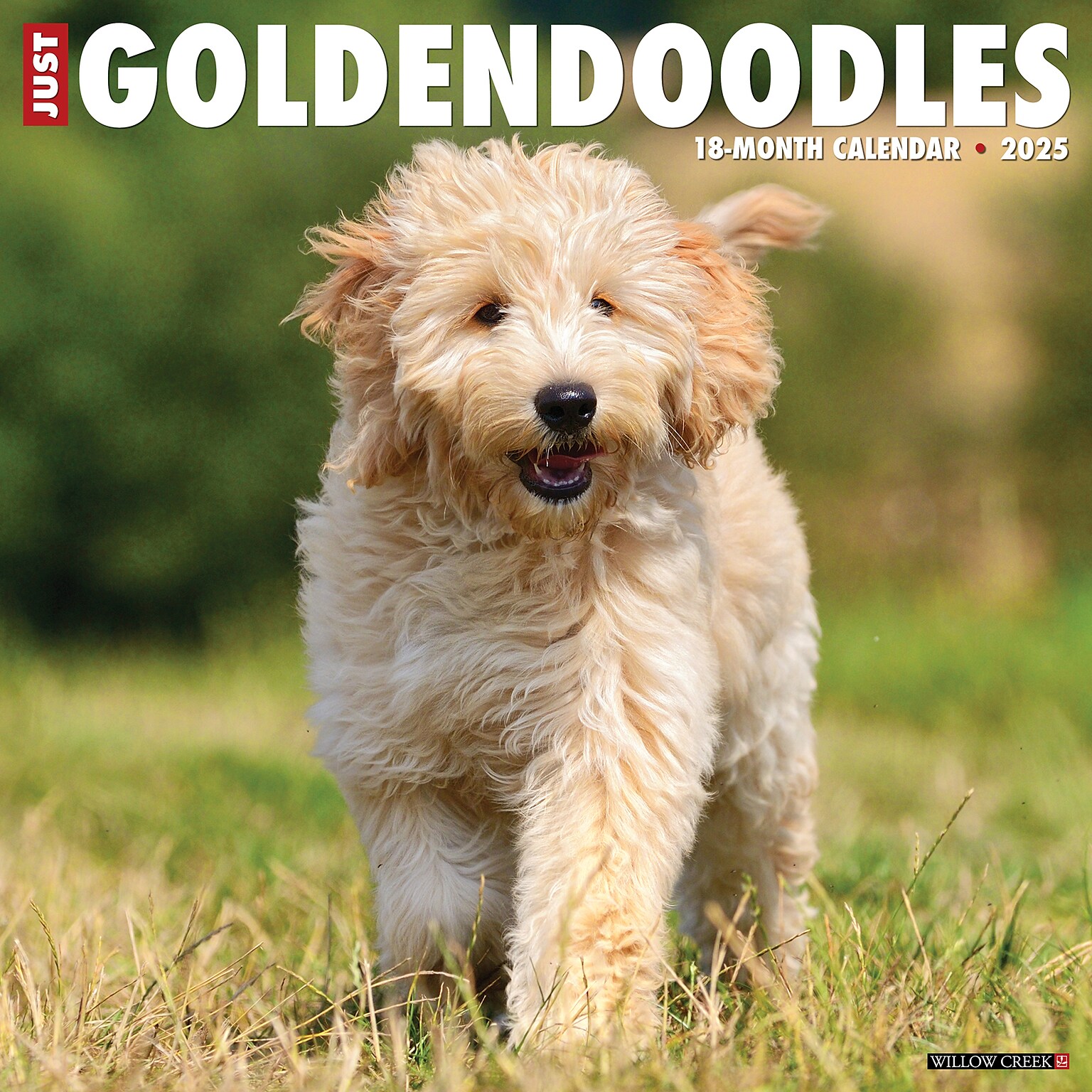2025 Willow Creek Just Goldendoodles 12 x 12 Monthly Wall Calendar (43127)