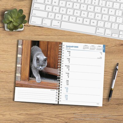 2025 BrownTrout Cat Lovers 6" x 7.75" Weekly Engagement Planner, Paper Cover, Multicolored (9781975473204)