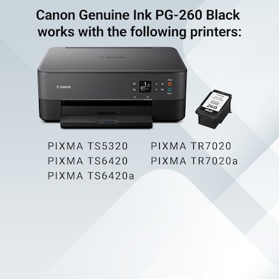 Canon PG-260 Black Standard Yield Ink Cartridge  (3707C001)