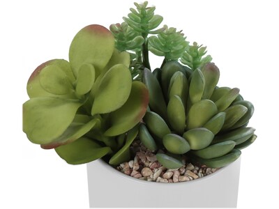 Monarch Specialties Inc. Succulents in Pots, 2/Pack (I 9588)