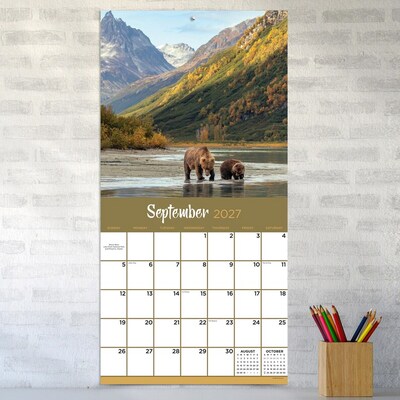 2027 TF Publishing Wild 11" x 12" Monthly Wall Calendar, Multicolored (27-1032)