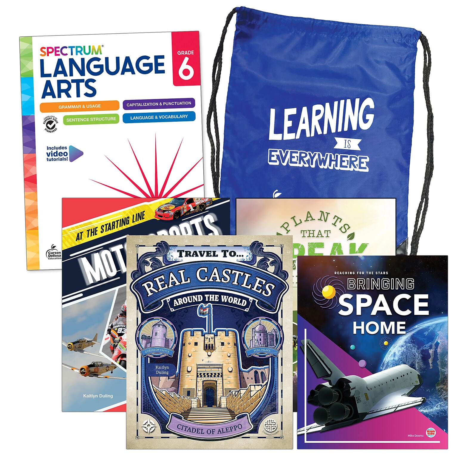 Spectrum Language and Literacy Backpack, Grade 6 Workbook, 6/Set (CD-745415)