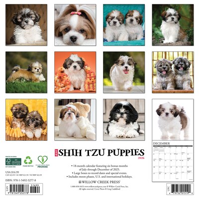 2026 Willow Creek Shih Tzu Puppies 12 x 12 Monthly Wall Calendar (52778)