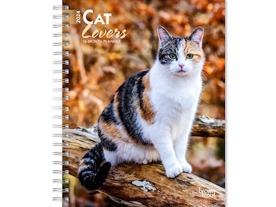 2024 BrownTrout Cat Lovers 6 x 7.75 Weekly & Monthly Engagement Planner, Multicolor (9781975468835