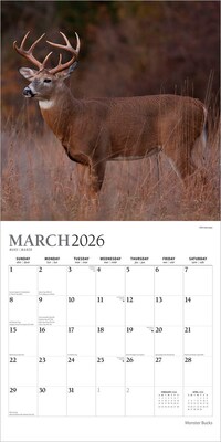 2026 Plato Monster Bucks 12" x 12" Monthly Wall Calendar (9798330706884)