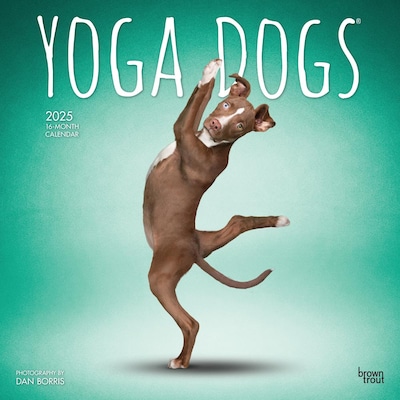 2025 BrownTrout Yoga Dogs 12 x 12 Monthly  Wall Calendar (9781975479879)