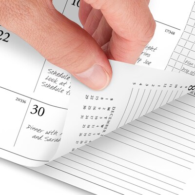 2026 AT-A-GLANCE Executive 8.75" x 6.5" Weekly & Monthly Appointment Book Refill, White/Black (70-908-10-26)