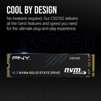 PNY CS2150 1TB M.2 Internal Solid State Drive (M280CS2150-1TB-TB)