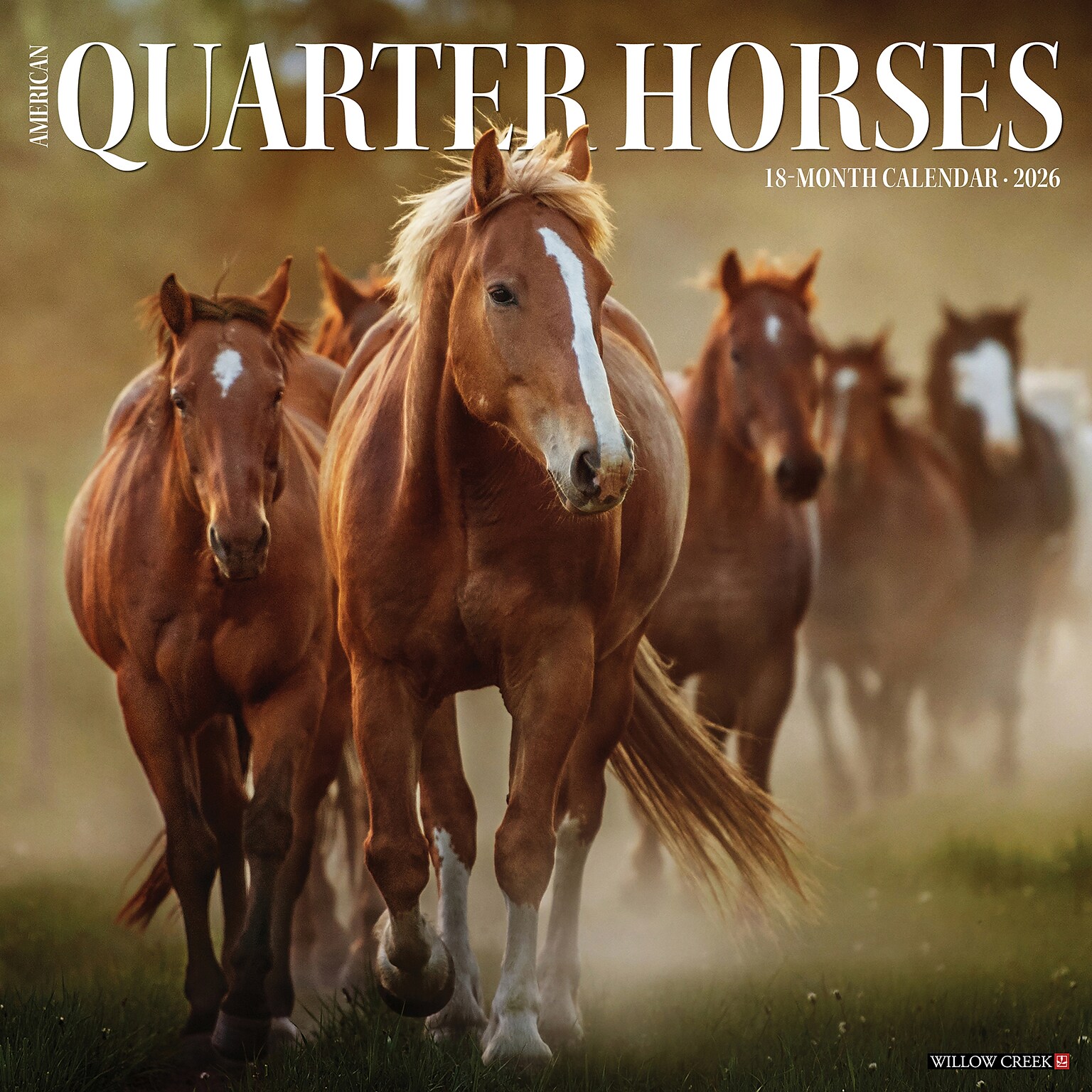 2026 Willow Creek American Quarter Horses 12 x 12 Monthly Wall Calendar (49853)