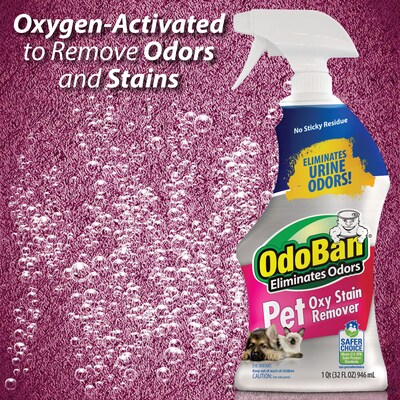 OdoBan Pet Solutions Laundry Stain Remover, 32 oz. (961561-Q6)