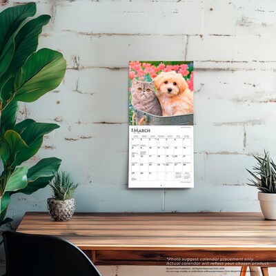 2026 BrownTrout Kittens & Puppies 7" x 7" Monthly Wall Calendar (9798330704095)