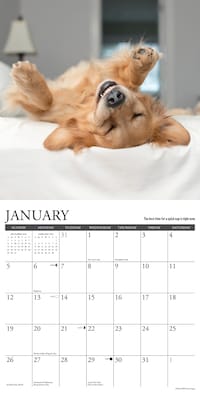 2025 Willow Creek What Goldens Teach Us 12" x 12" Monthly Wall Calendar (45374)