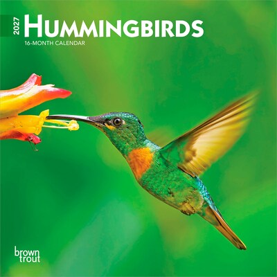 2027 BrownTrout Hummingbirds 7 x 7 Monthly Wall Calendar (9798330709830)