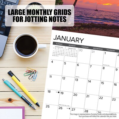 2026 Willow Creek Tuxedo Cats 12" x 12" Monthly Wall Calendar (53034)