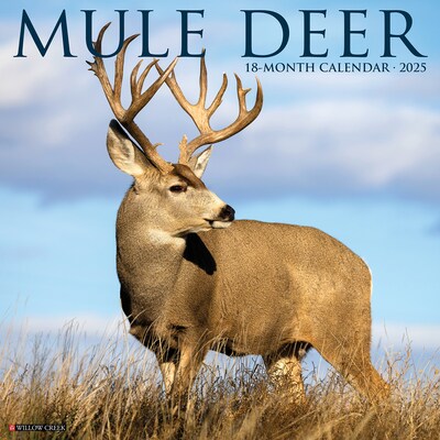 2025 Willow Creek Mule Deer 12 x 12 Monthly Wall Calendar (44063)