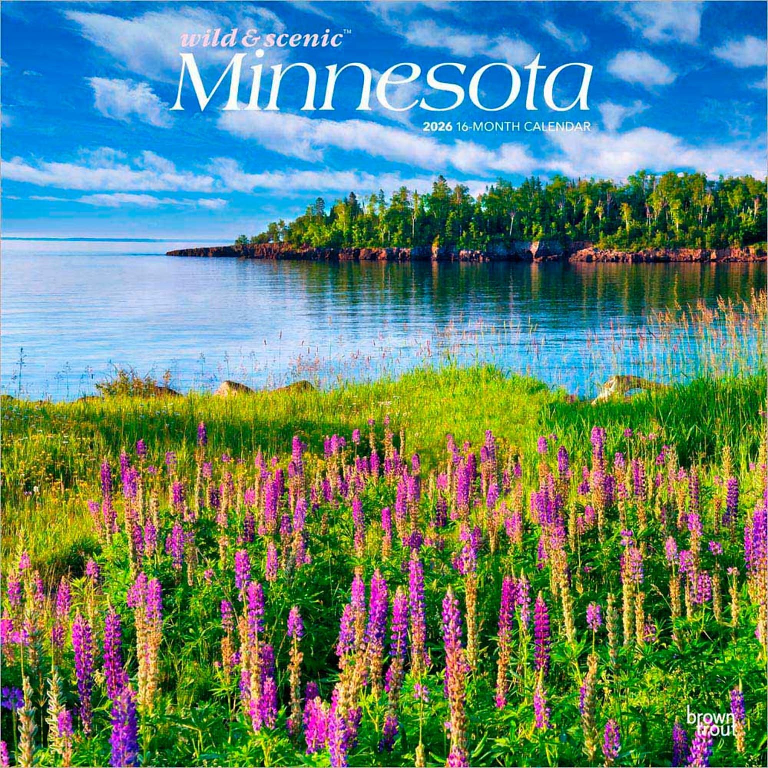 2026 BrownTrout Minnesota Wild & Scenic 12 x 12 Monthly Wall Calendar (9798330704606)