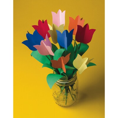 Pacon Tru-Ray 9" x 12" & 12" x 18" Construction Paper, Assorted Colors, 2,000 Sheets (P104120)