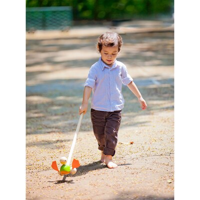 Plan Toys Wooden Push Along Duck Toy, Multicolored (PTS5626)