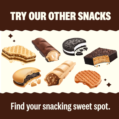 Rip Van Wafels Dutch Caramel and Vanilla Stroopwafels, 1.16 oz., 12 Packs/Box, 12/Box (RVW00334)